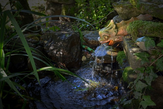 Fontaine du jardin